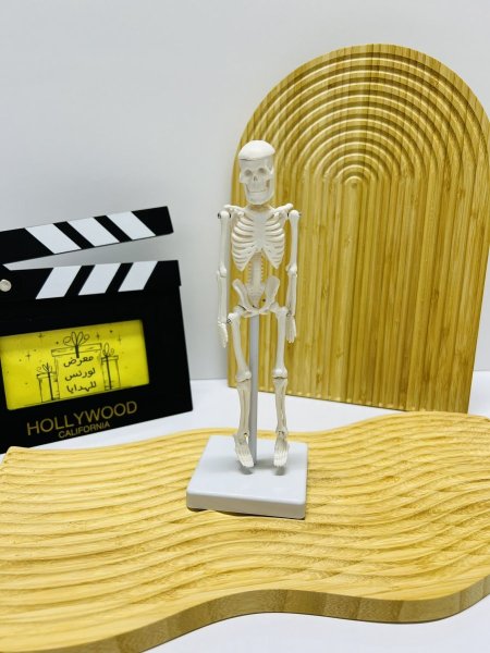 هيكل عظمي صغير مع ستاند