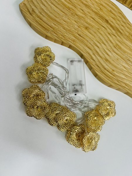 حبل ليد على البطاريات