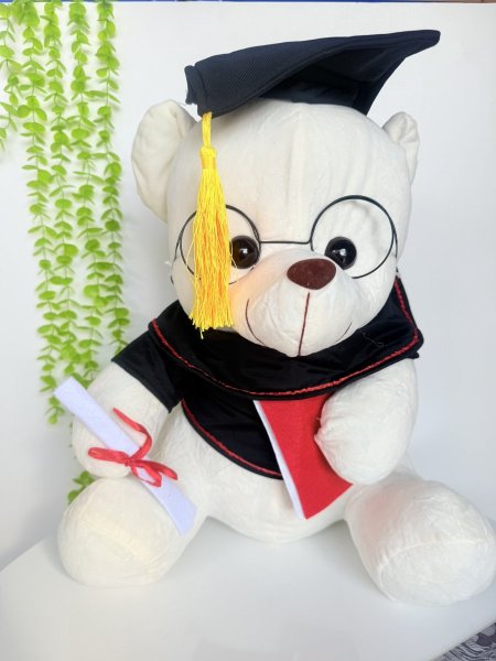 دب تخرج 50 سم متوفر بعدة الوان