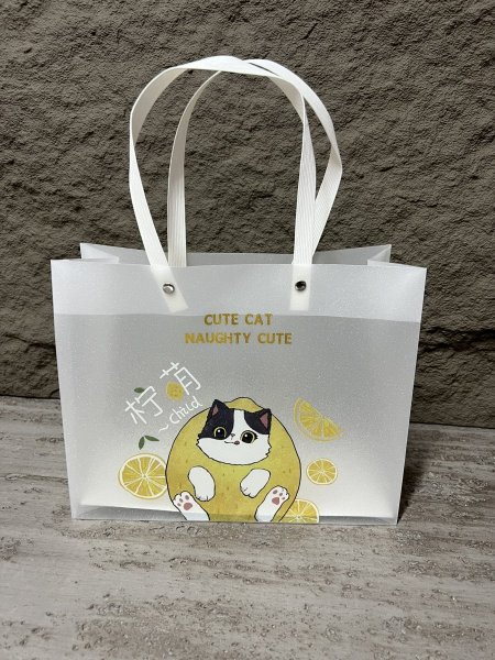 كيس هدايا بلاستك مقوى 