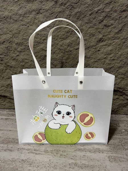 كيس هدايا بلاستك مقوى 