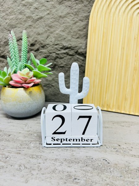 كالندر صبار حديد لون ابيض