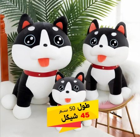 دب كلب كبير